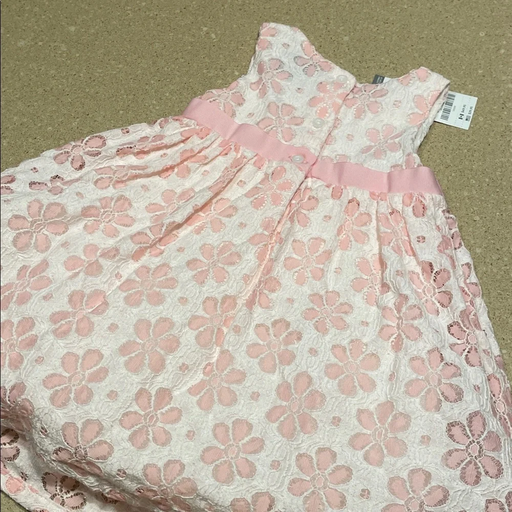 Gymboree Pink and White Floral Lace Dress